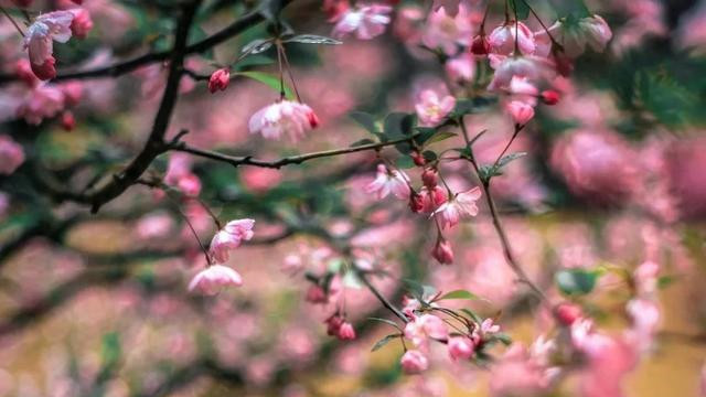 婚姻中的三大关键问题，你正在经历哪些？