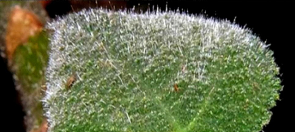 擦屁股惹祸：大兵竟自杀了











你敢信？就因为拉肚子擦屁股，一个