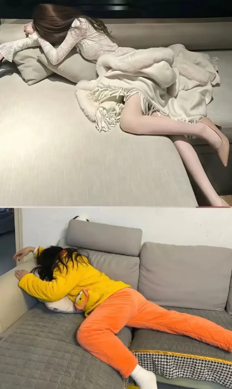 如果你来了会抱走哪个？