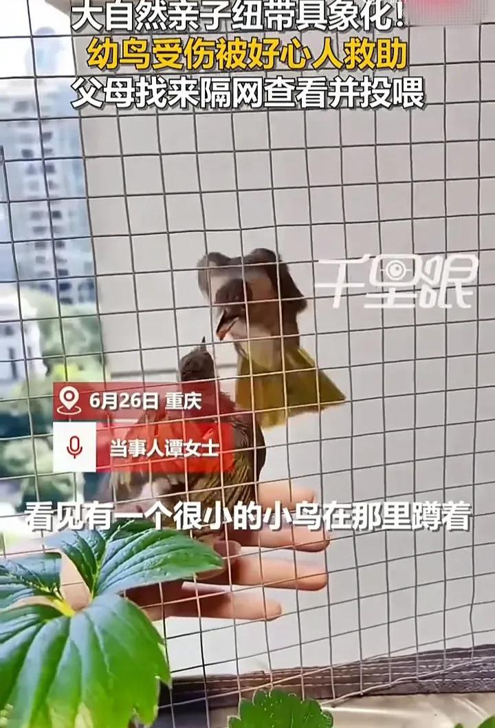 看哭了！6月26日，重庆一名女子发视频称，自己下班回家时，发现有几个孩子在玩弄受