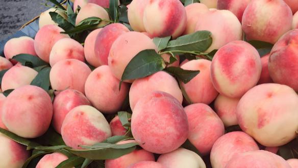 买桃子时，选圆头还是尖头，区别有点大，弄懂再买不吃亏！