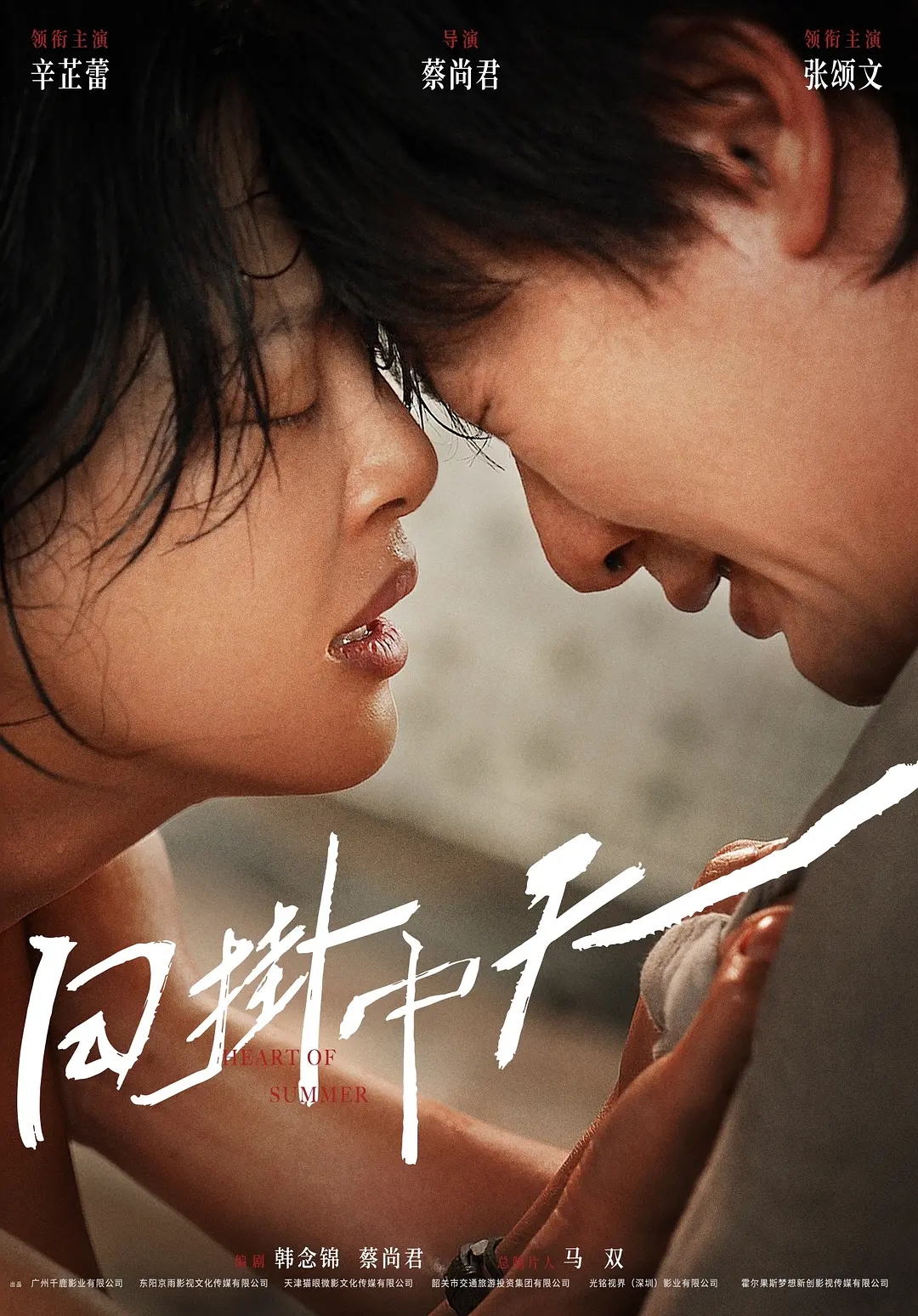 辛芷蕾新片《日掛中天》官宣定档，主演阵容曝光！