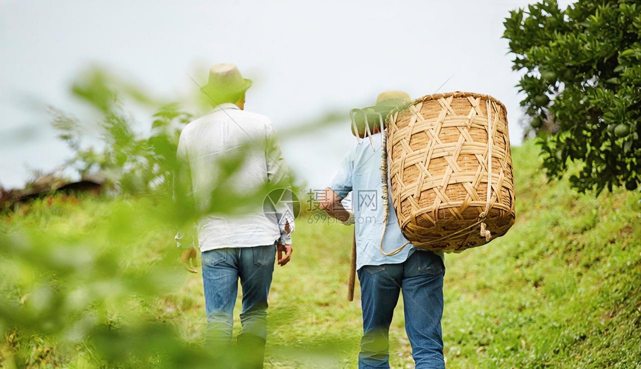 #你觉得当农民丢人吗#我觉得丢人，我的父亲就是农民。每次跟他出去，他穿得都特别土