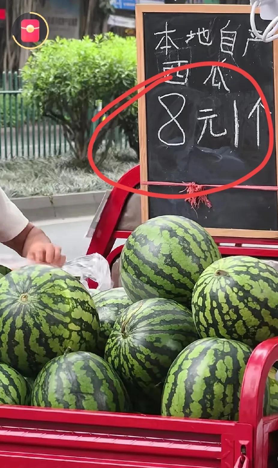 这西瓜刚开始卖吧，就这么便宜了，8元一个，这么大的个头啊，还有啥利润可言！
是不