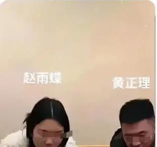 我是真想不明白黄梓澈的后妈赵雨蝶的脑回路。

听黄梓澈亲妈的意思，她在黄家很