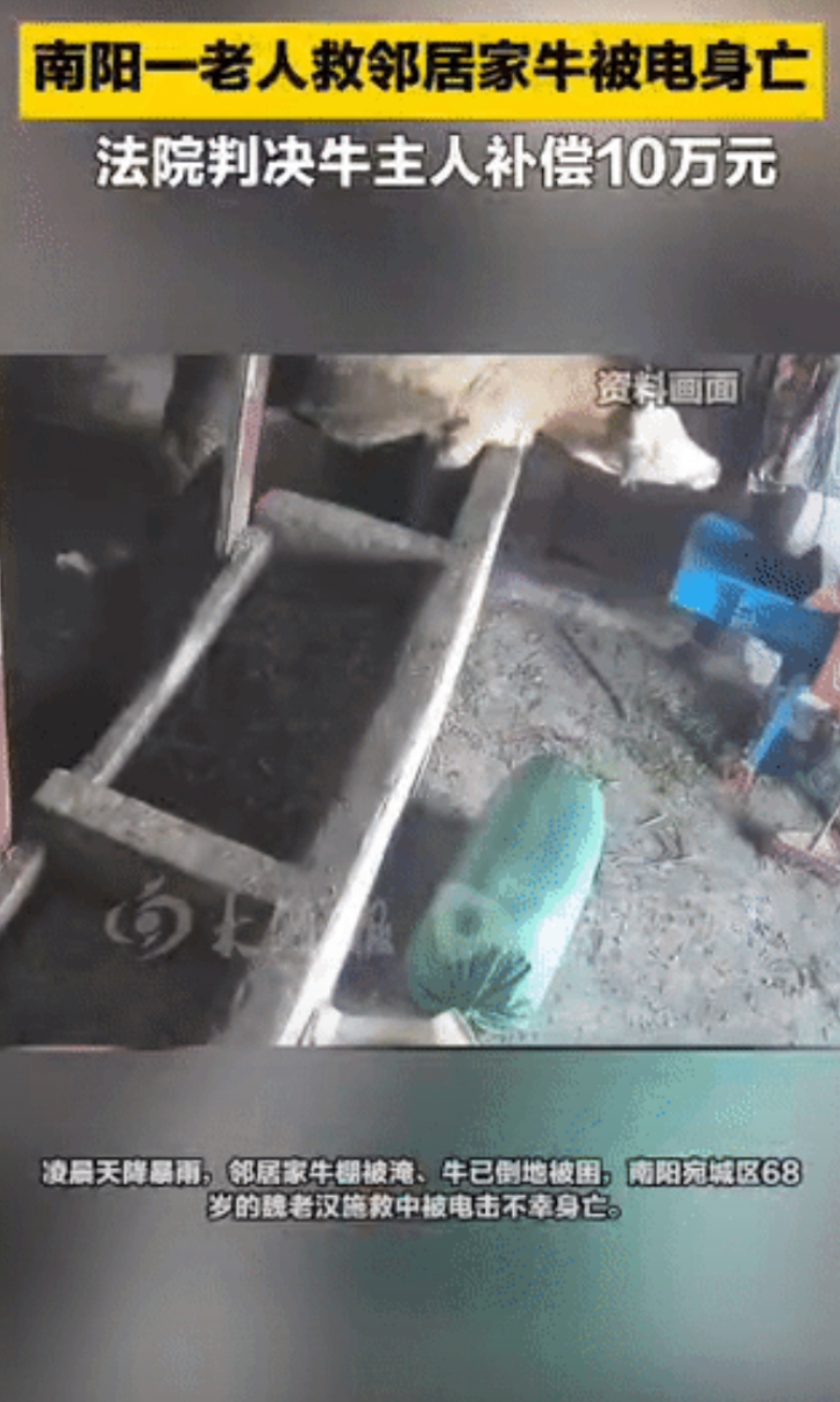 河南南阳，一68岁老汉在暴雨天见隔壁邻居家的牛快淹死了，便上前要解开牛绳救牛。不