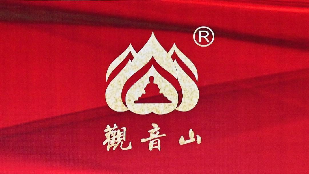 琴心剑胆：儒商黄淦波——第七届“观音山模式”研讨会隆重举行