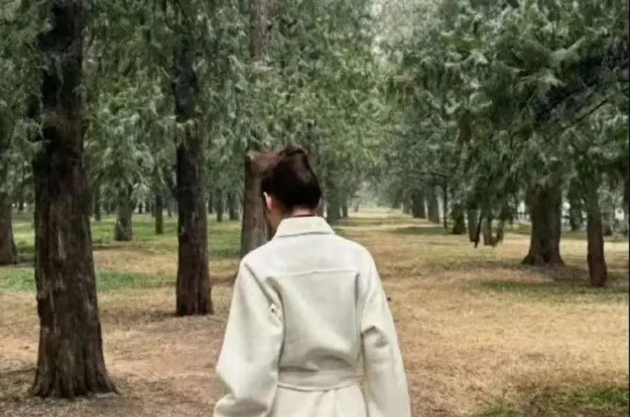 马筱梅大S的雌竞之路











我的天哪！大S和马筱梅的雌竞之战简直