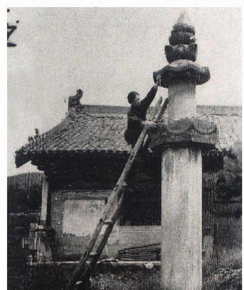 [太阳]2002年，杨澜在采访中，指着林徽因的一张照片问梁从诫：“你母亲踩着高跟