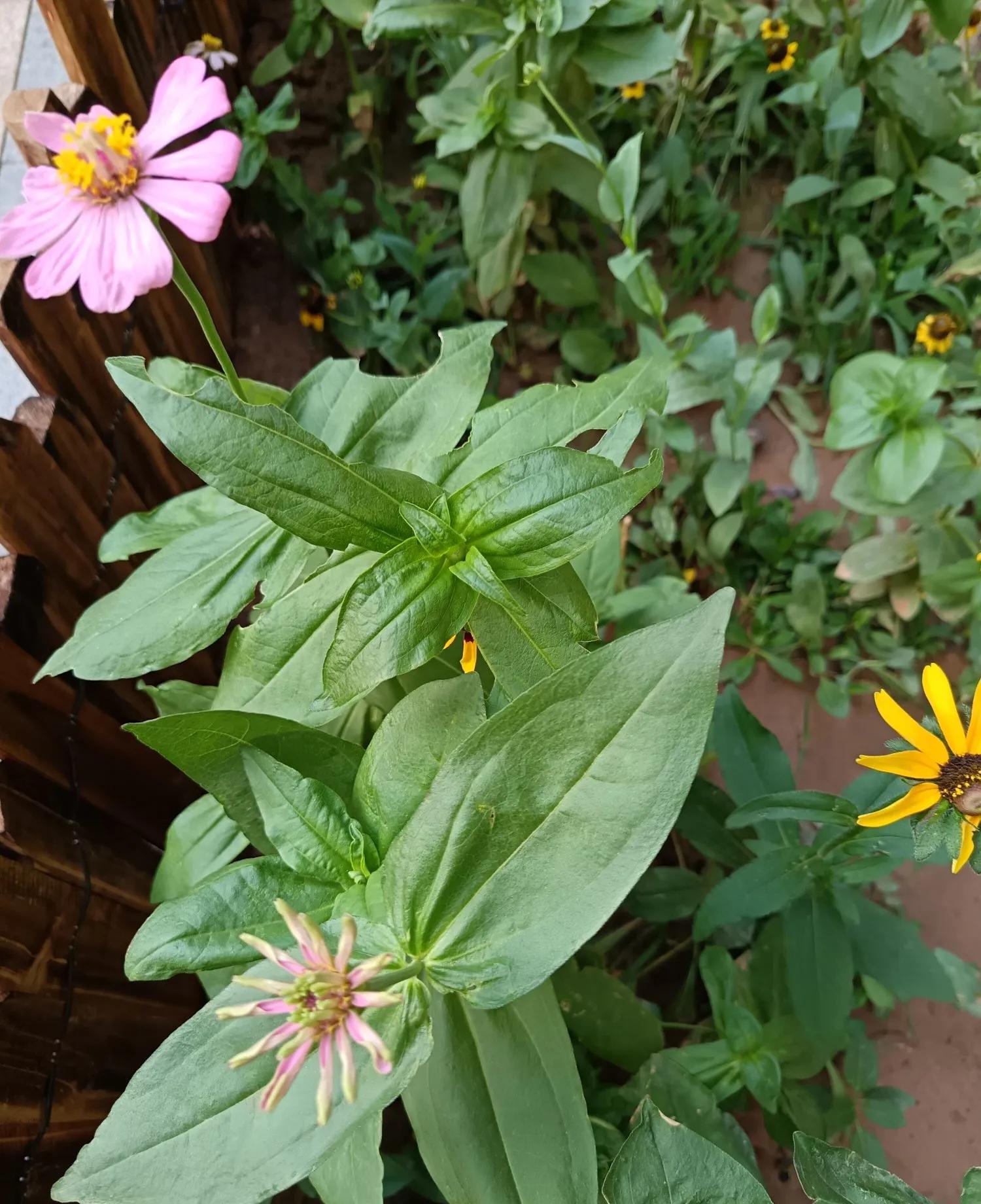 人永远争不过命运。



七零年代，我二小姨结婚八年未孕，那时医疗条件有限，婆媳