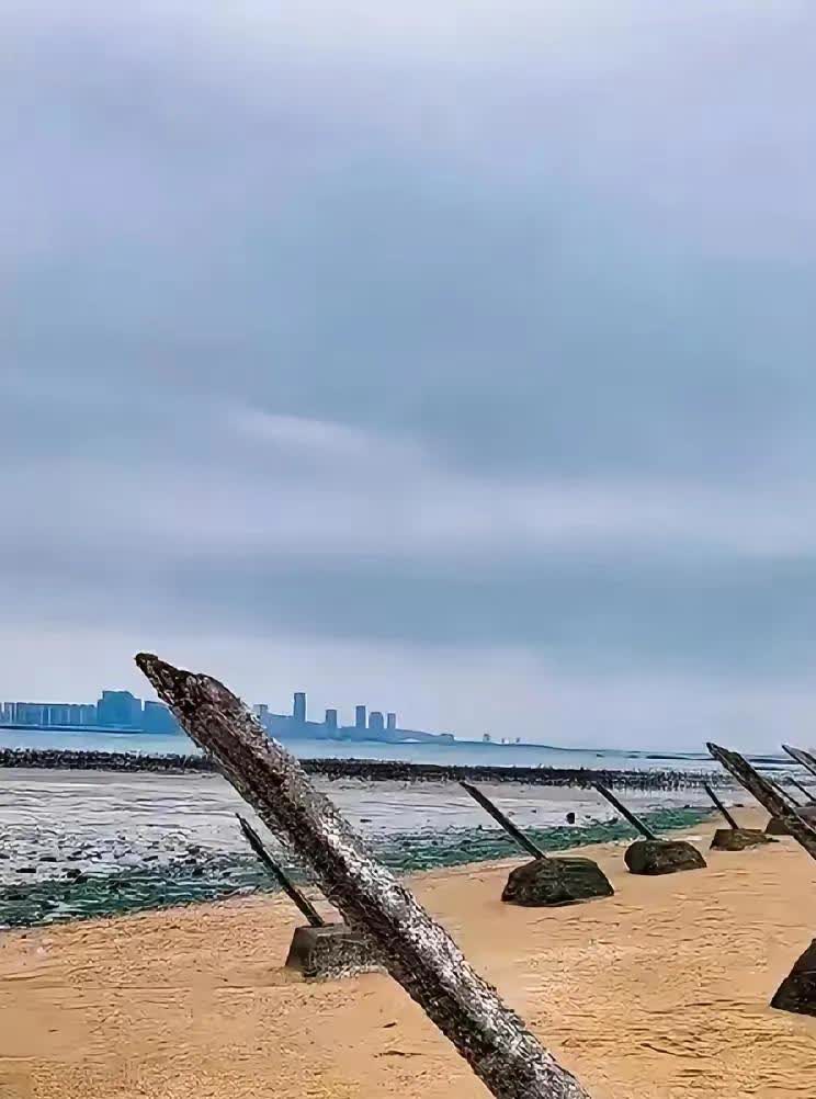 武力收复台湾时，台独顽固份子必须死。打仗是要流血的，开战后，台独顽固份子就是重点