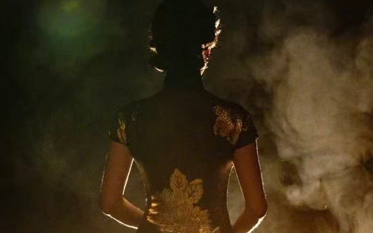 女特工策反蒋介石爱将，秘密控制南京情报网三年，曾领导策划著名的“五二零”运动