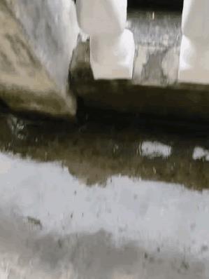 不堪重妇