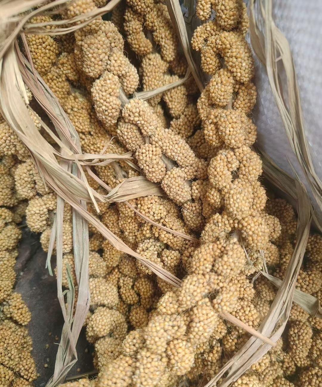 昨天路边菜场看到有个人在卖这个，如果他不说我也不知道是什么，你们知道这个是什么吗