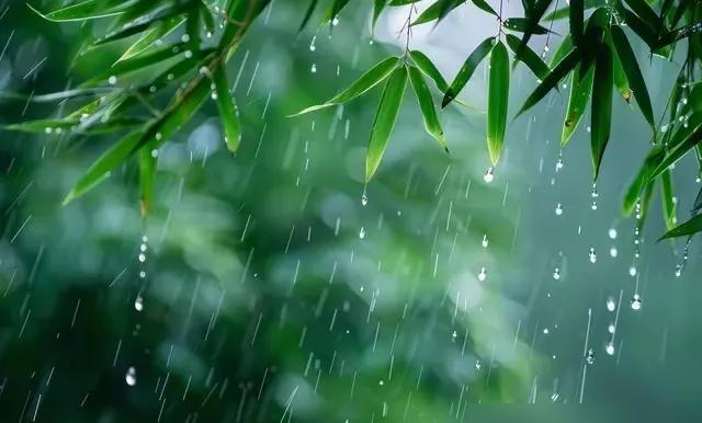 上海的雨下得人发闷！今天周六宅家，雨从早下到晚，点个西瓜解馋，结果往厕所跑得比追