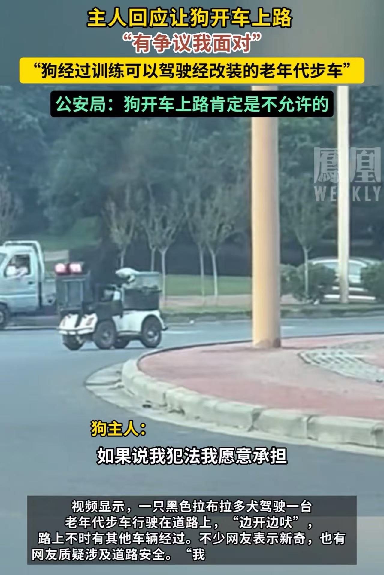 四川眉山，一只狗开着老年代步车上路，被网友质疑不安全！狗主人：“很憋屈，以前牛拉