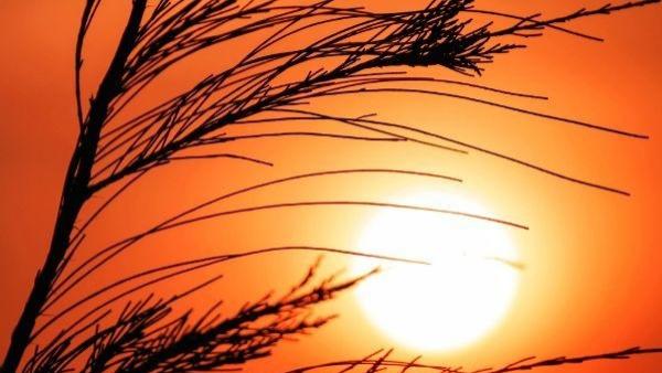 ICU里的音乐会：别让“等以后”变成“来不及”