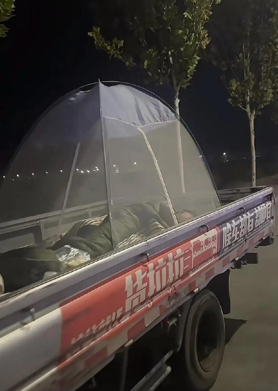 这是谁的孩子？
又是谁的爸爸？
真不容易啊！