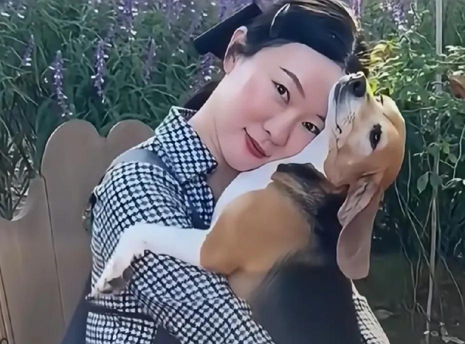 霍思燕夫妻真的很善良，是他们让我知道了比格实验犬的存在
霍思燕和杜江曾经救助过一