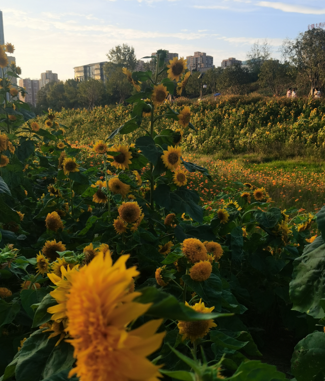 搞好关系，
只记住这几点：
1.首先要有边界感，要把握好距离，不亲不近，不冷不淡
