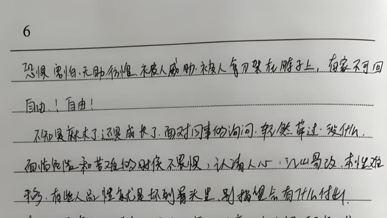 女护士日记中的呼救：生前多次遭男友勒颈，家属拒赔偿求死刑