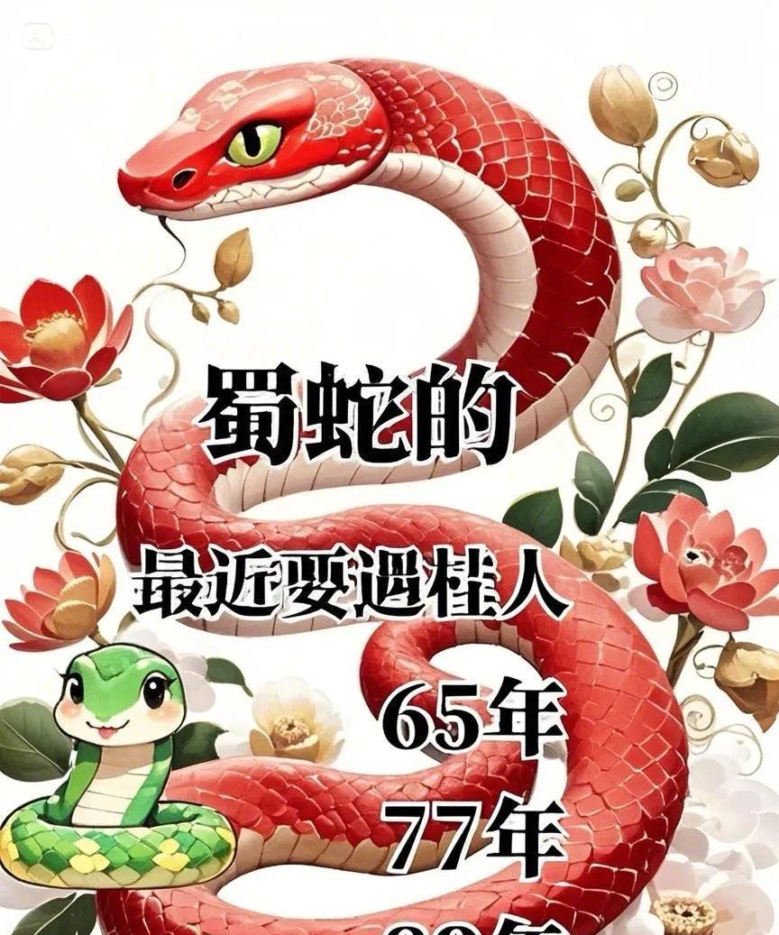 有缘刷到，就是有福之人，接
