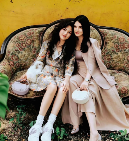 李湘多平台账号被禁止关注。截至当日，其名下关联20家企业，其中14家已注销，仅6