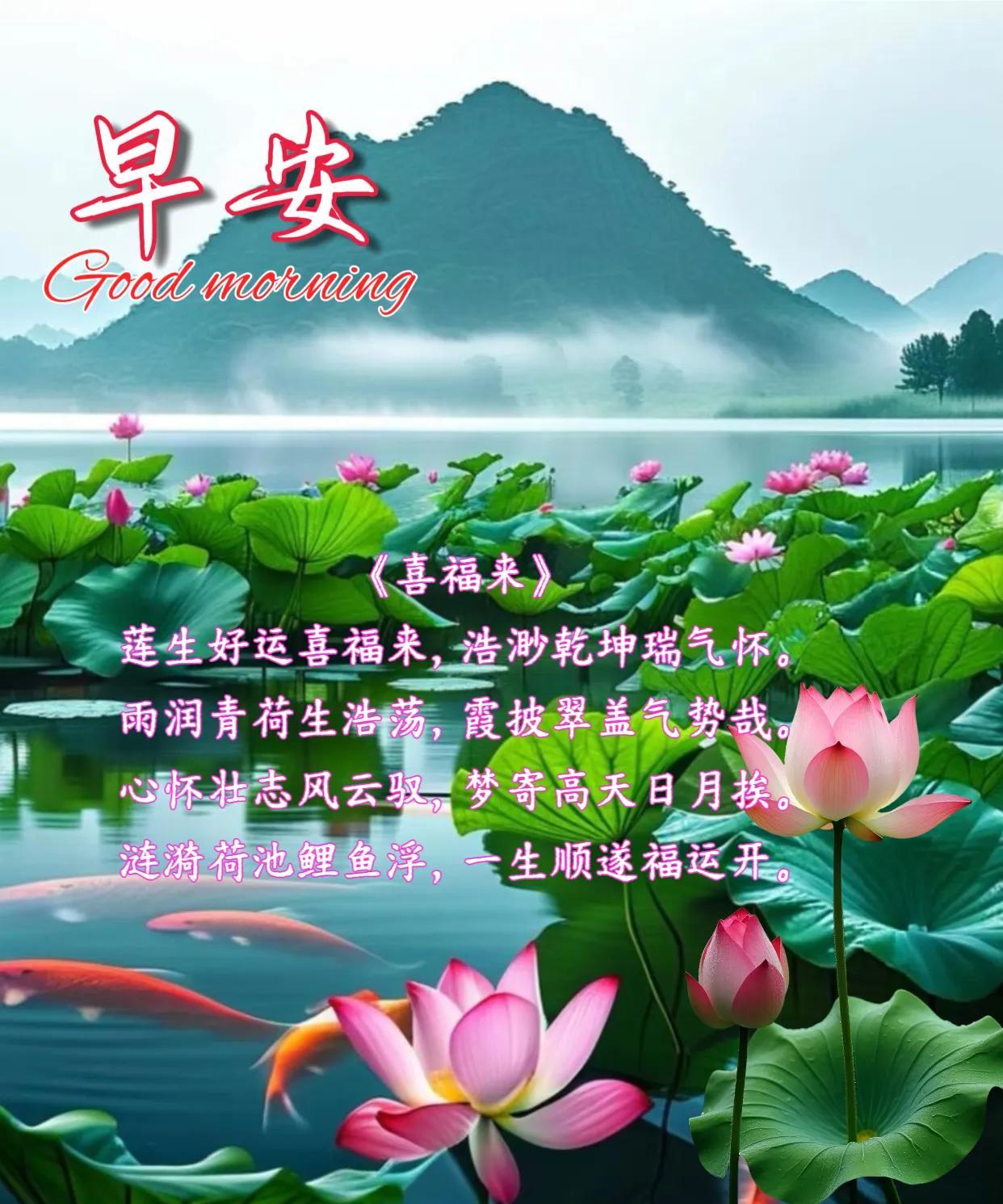 朋友：早安！
《喜福来》
莲生好运喜福来，浩渺乾坤瑞气怀。
雨润青荷生浩荡，霞披