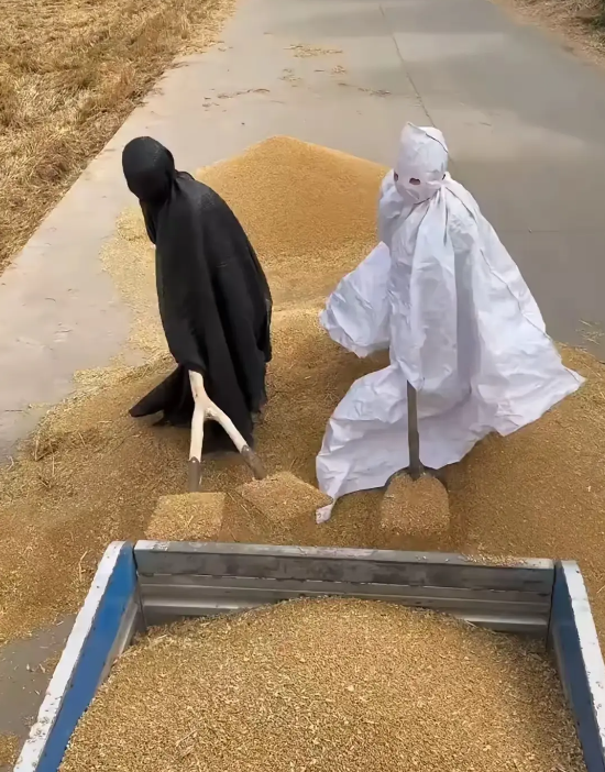 你俩也搞上兼职了。下面是有多难混啊！