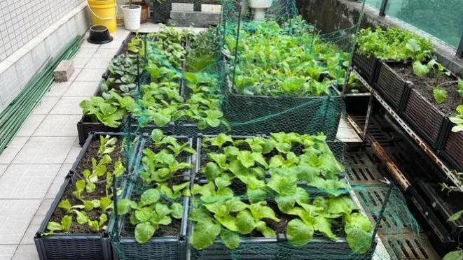 在顶楼大平台上享受生活，被邻居投诉，网友：这可不是红眼病犯了