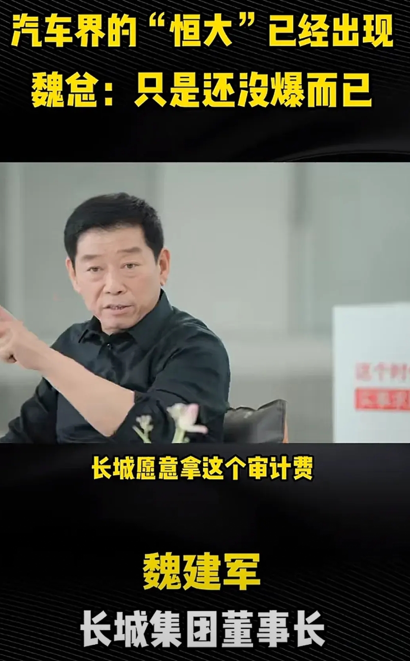 魏建军越来越像董明珠了，这种话也敢说出来。长城愿意自掏腰包，支付审计费，对国内各