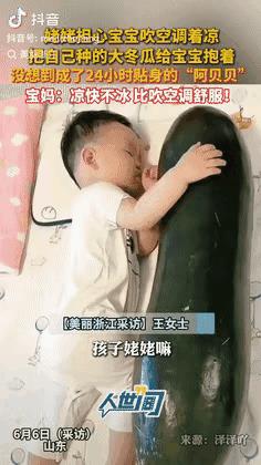不懂就问，
抱着冬瓜睡觉，
真的凉快吗？
行的话，
我明天也买一个抱着睡！[呲牙