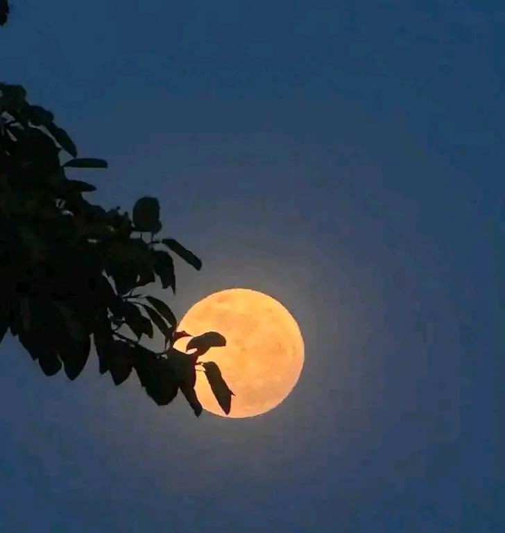 我一点也不喜欢大夏天
太热了
白天怕紫外线怕太阳
我想对太阳公公说你下班就可以了