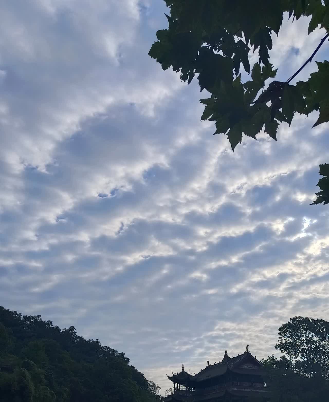 又是被楼上砸醒的一天，从昨天晚上到今天早上，一共砸了三次东西，昨天夜里一点多一次