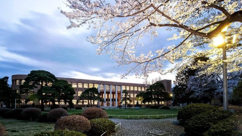 国内高校分享第35期：东北大学-考研暴涨70%学历贬值？这所大学12%学生拿海外双证