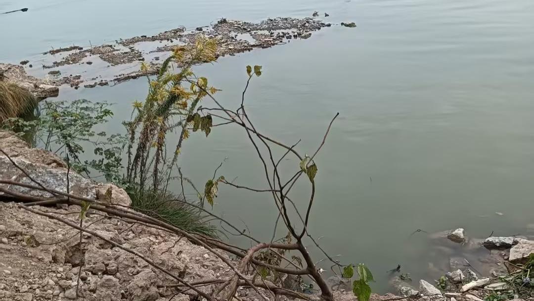 27年码头被“拆干净”：四位老人210万投入仅赔10万，刚领完钱平台又被清空