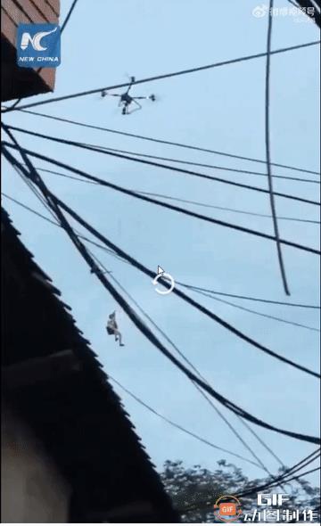 这才是科技的正确打开方式！图为无人机正在广西转移洪灾中受困的灾民[鼓掌]。
有人