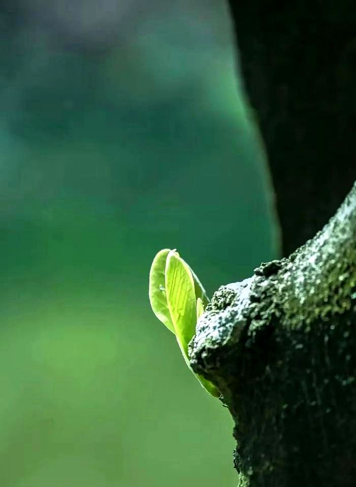 最近网上热议老年婚姻，核心观点竟是“凑合过”？  这引发了我的一些思考。


