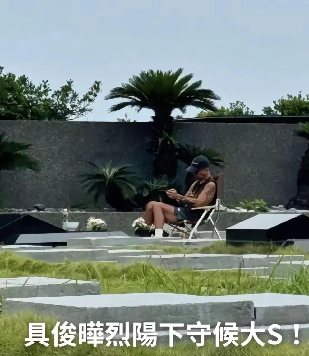 山不言也知道它高度、海不语都清楚它的深度。可若没发现具俊晔坐在大S木墓前、有谁知