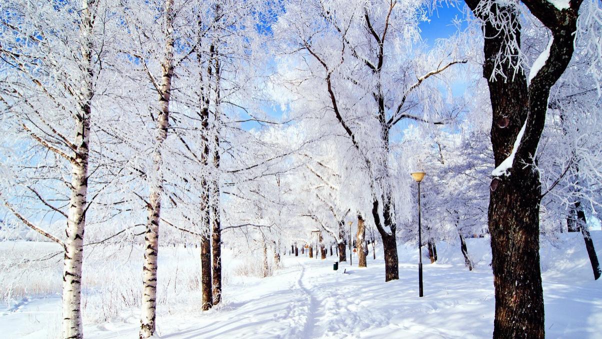 女性情感变化的微妙信号：留意这些“不主动”