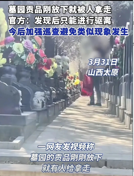 山西太原一墓园有网友发现，有人刚祭拜完的贡品，人离开以后就被别人用大的胶带拿走了