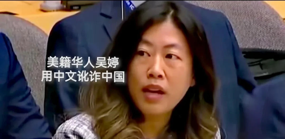 华裔女大使反华言论引争议











怎么也没想到，一个有着中国血统的