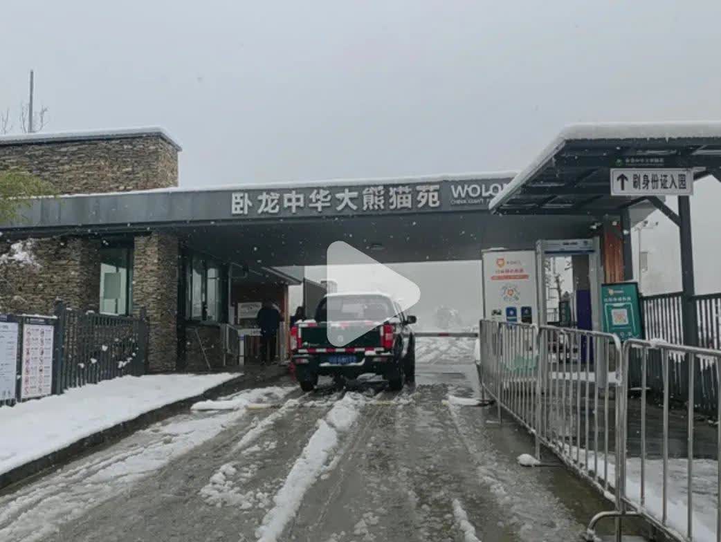 神树坪今天闭园一天！2025年3月31日

下大雪，闭园一天！

神树坪