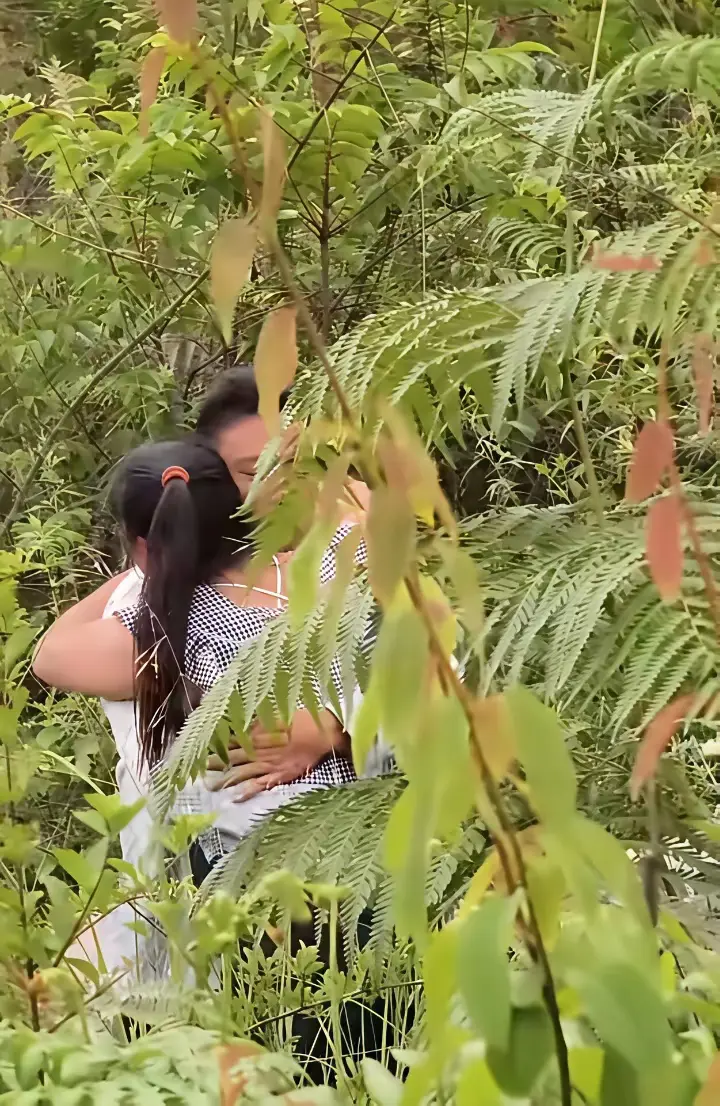 去山上看到我姐夫和一个美女拥抱，这是干嘛呢