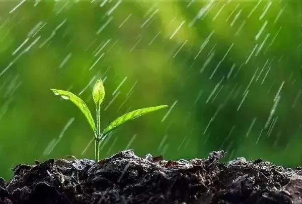《小雨》
小雨润物苗能长
别看暴雨多而强
摧毁庄稼是在行
…………？
拋砖引玉：