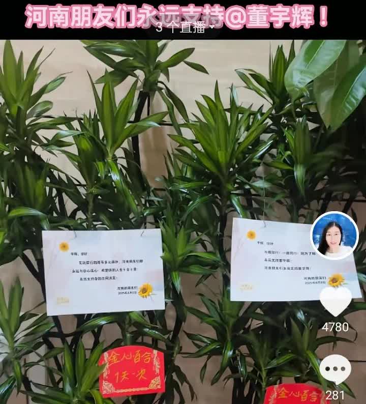河南朋友给宇辉送绿植庆祝出圈3年，没有受到于教主的影响被带偏。

河南是被黑