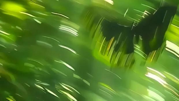 写给母亲：由岁月加冕你，此刻群山长青