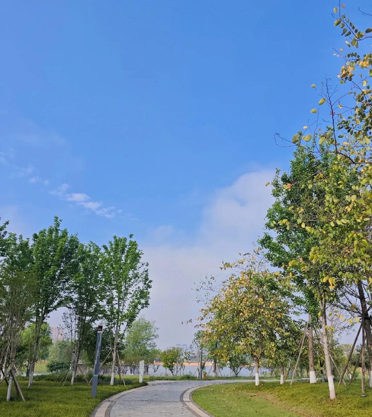 领导出错时要低调处理
#职场生存法则##职场技巧#