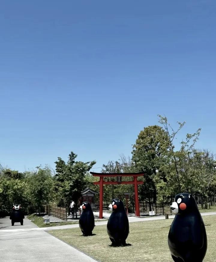 日职乙：秋田蓝闪电-熊本深红
蓝闪电的大麻烦要来了，这场比赛前队内头号球星小松莲