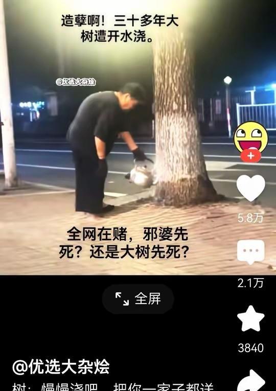 老太太又可能是想让大树给她“陪葬”